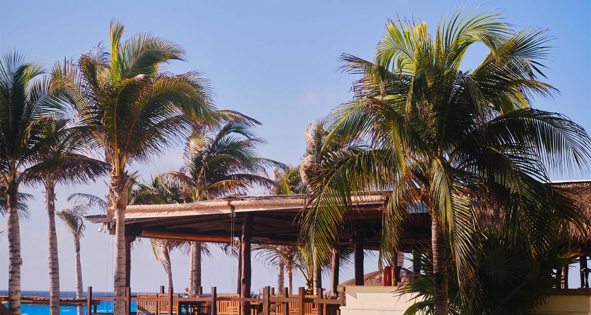 Deck NYX HOTEL CANCUN Cancun Deck NYX HOTEL CANCUN Cancun